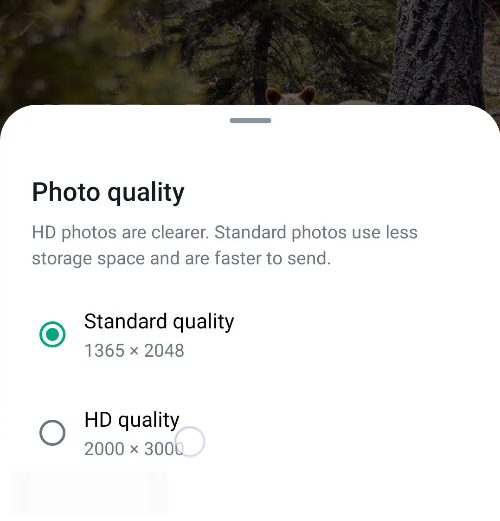 صور HD Quality على واتساب